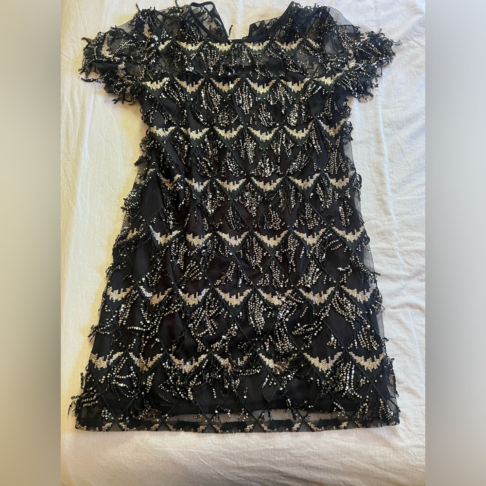 20s flapper dress